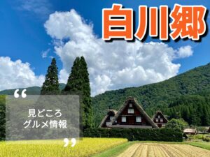 【世界遺産】白川郷の観光スポットや美味しいランチをご紹介！夏も美しい日本の原風景