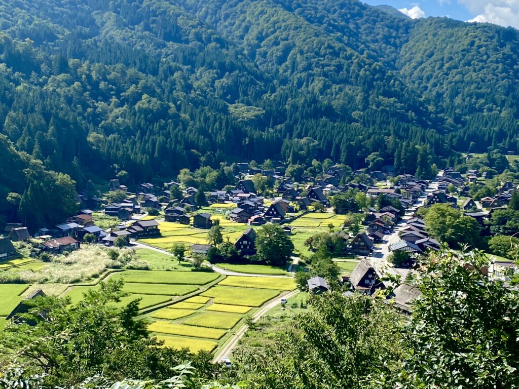 【世界遺産】白川郷の観光スポットや美味しいランチをご紹介！夏も美しい日本の原風景