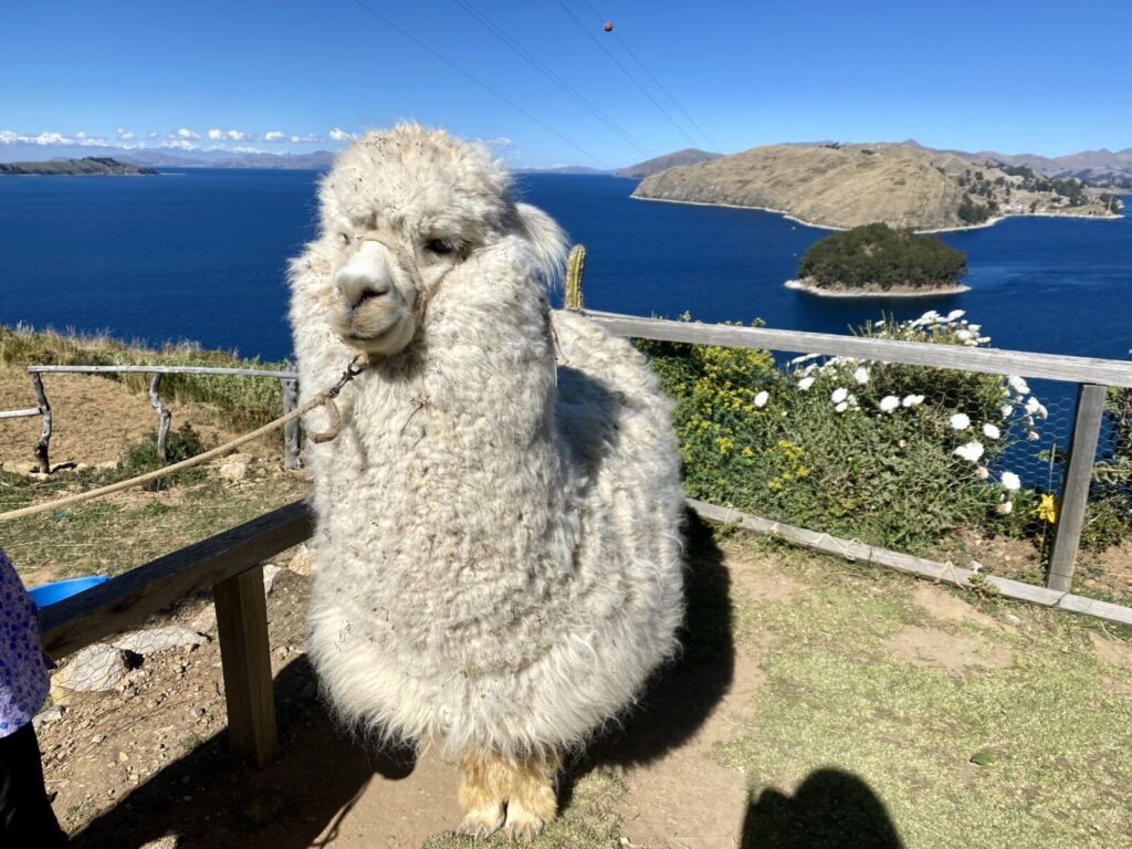 ボリビア、太陽の島