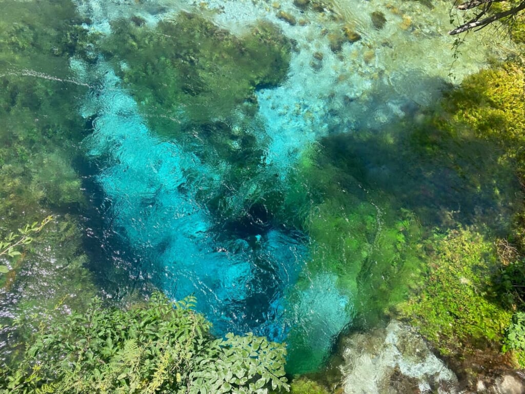 ブルーアイの泉