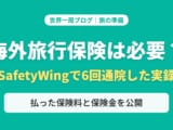 海外旅行保険は必要？SafetyWingで6回通院した実録｜払った保険料と保険金を公開